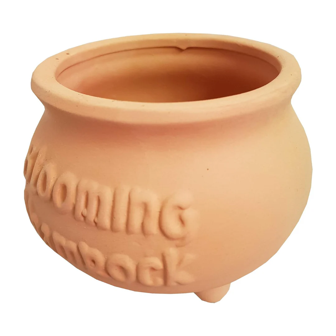 Blooming Shamrock Pot Kit - Image 2