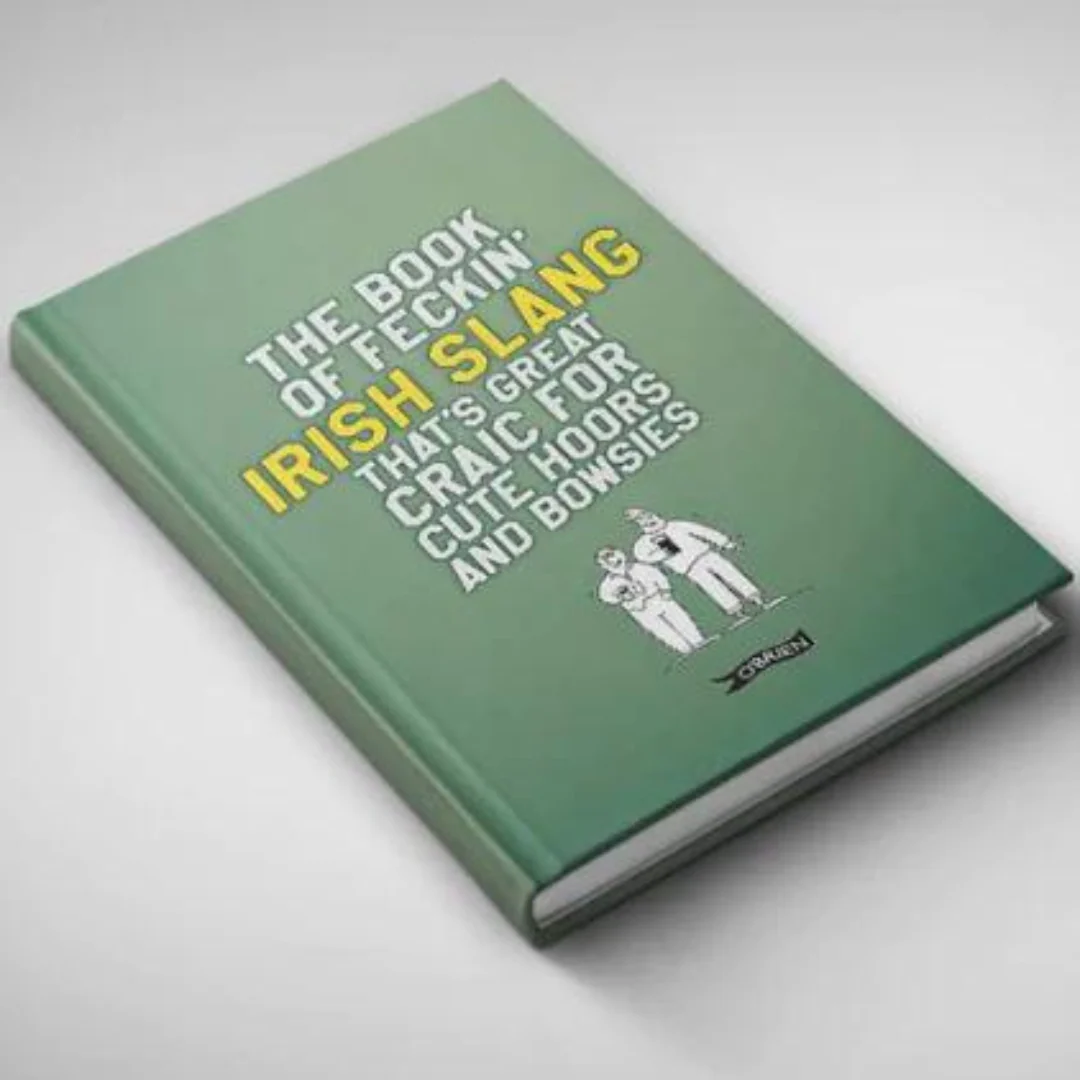 Feckin Book Of Irish Slang - Image 2