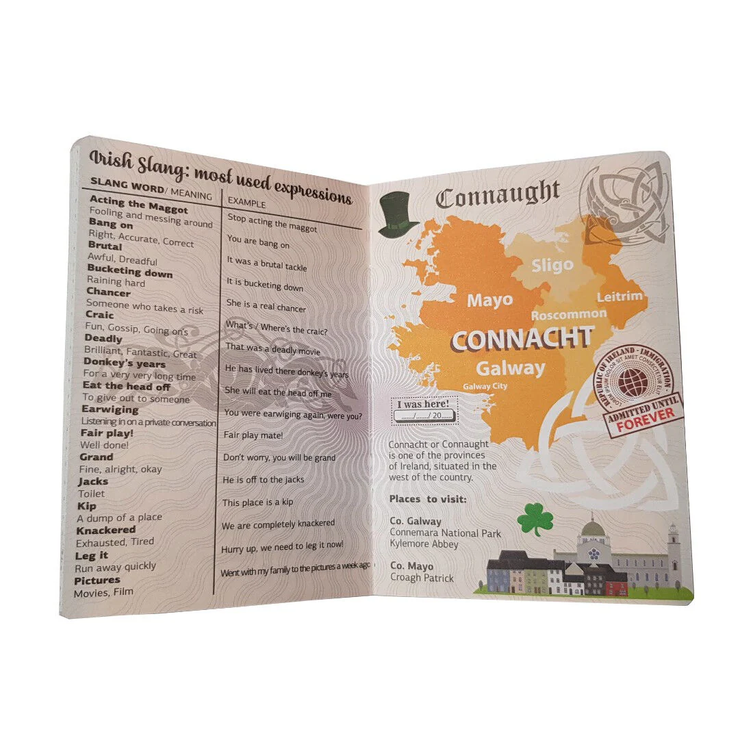 Funny Irish Tourist Passport With Irish Landmarks Phrases & Symbols - Image 5