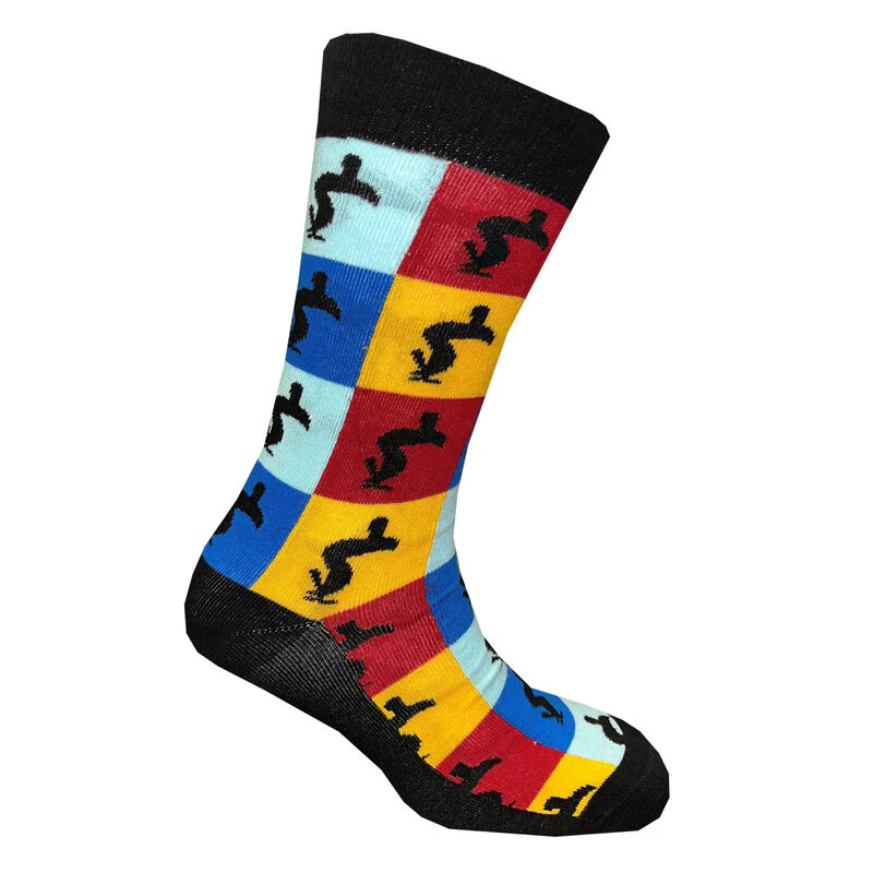 Guinness Toucan Colour Block Socks