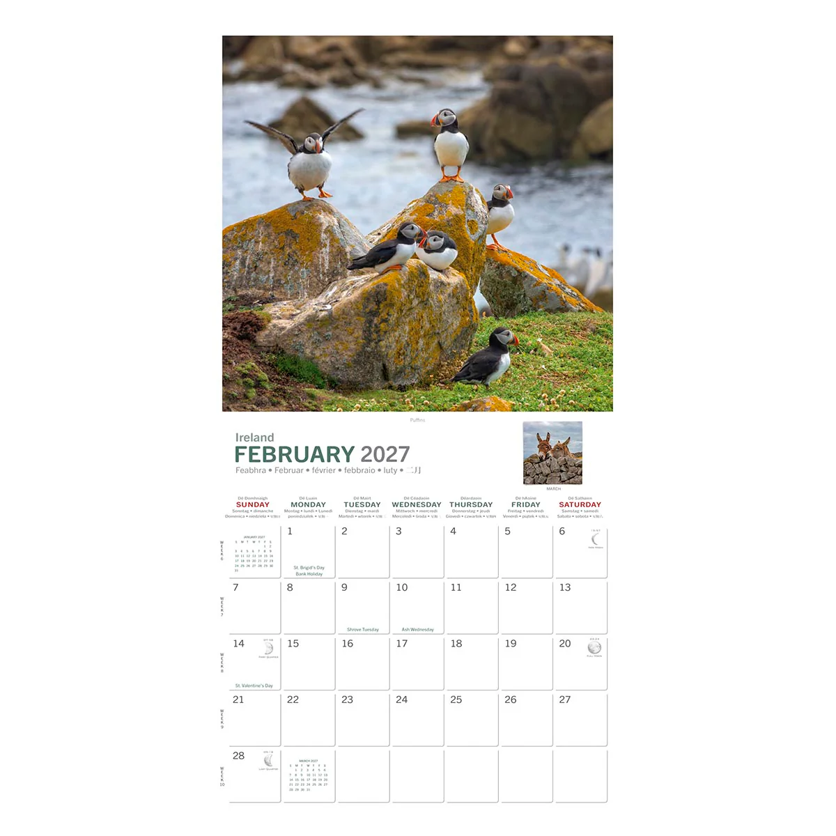 Irish Creatures Great & Small Calendar 2027 - Image 2
