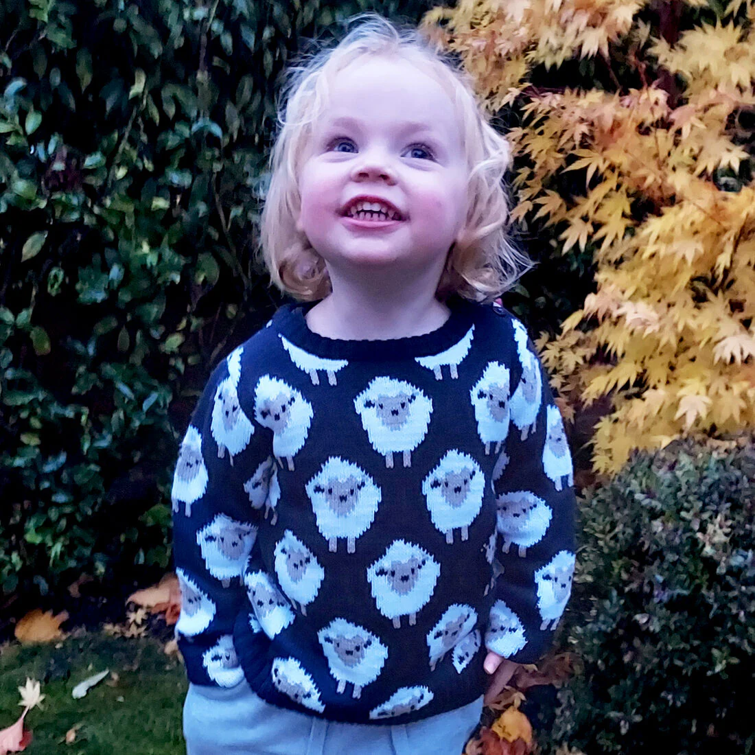 Kids All Over Sheep Pattern Jumper Navy - Image 2