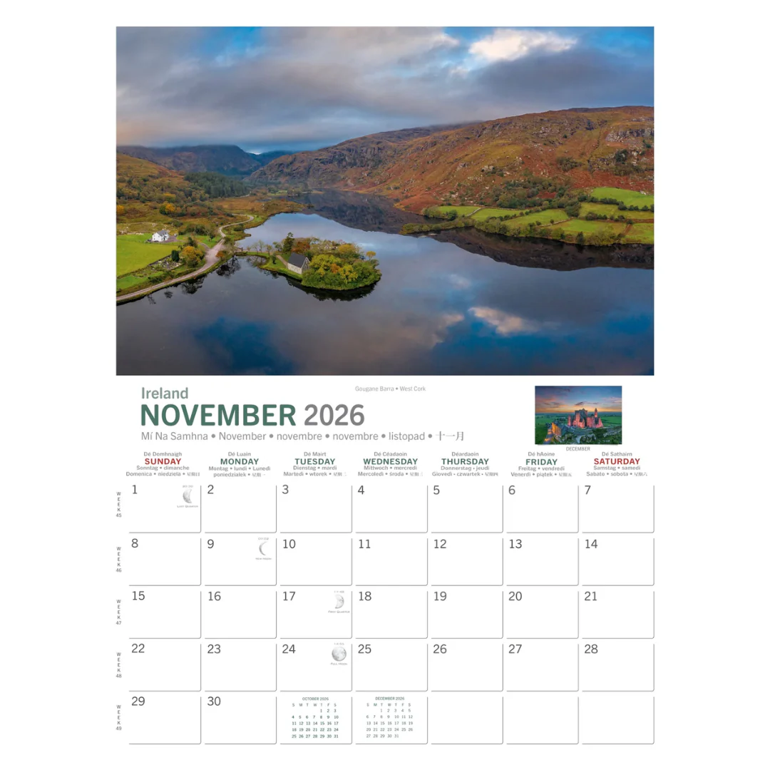 Wild Ireland Birds Eye View A4 Calendar 2026 - Image 2