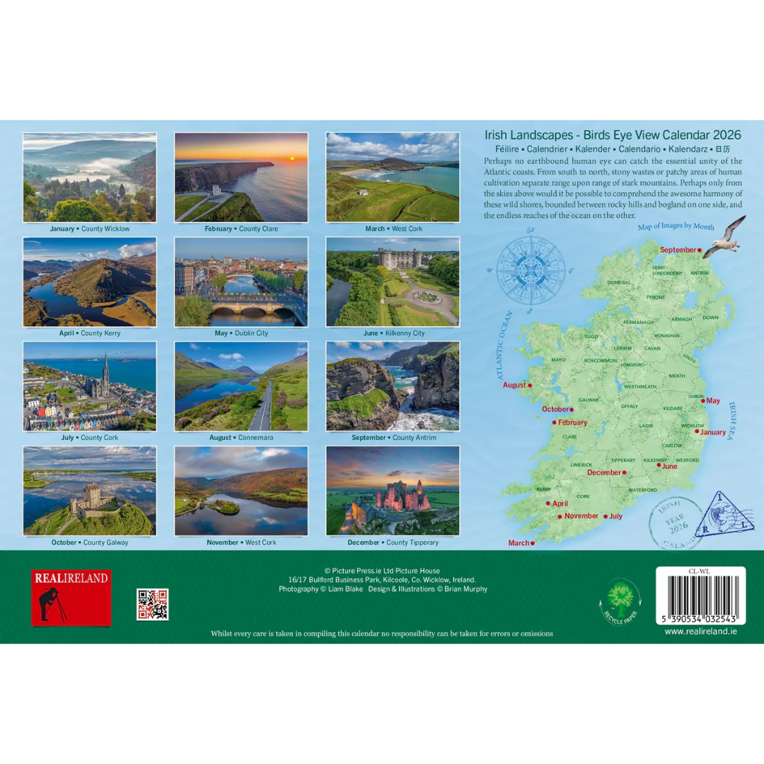 Wild Ireland Birds Eye View A4 Calendar 2026 - Image 3