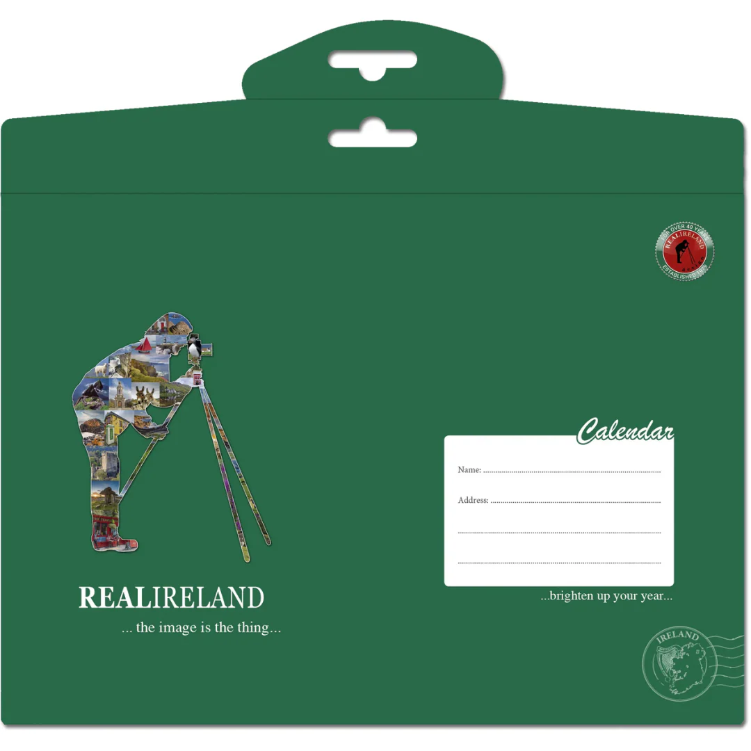 Wild Ireland Birds Eye View A4 Calendar 2026 - Image 4