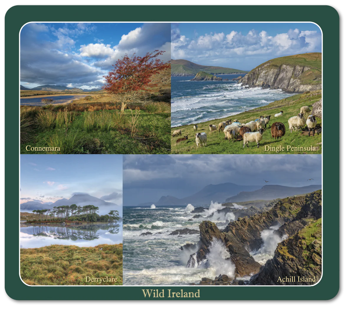 Wild Ireland Image Table Coasters - Image 4
