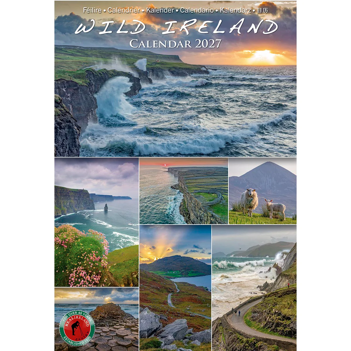 Wild Ireland Scenic Views Slim Calendar 2027